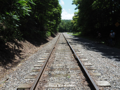 The rails of the Western Maryland Scenic Railroad