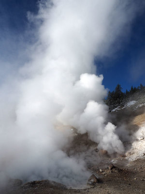Fumeroles at Beryl Spring, Yellowstone