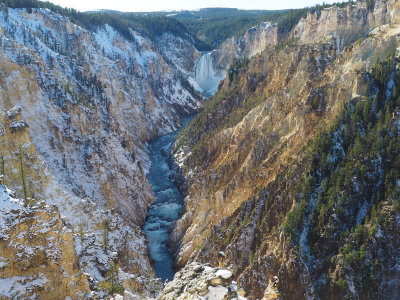 Grand Canyon of Yellowstone with The Lower Falls