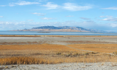 A view on Antelope Island