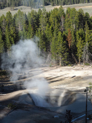 In the Sulphur caldron area of Yellowstone