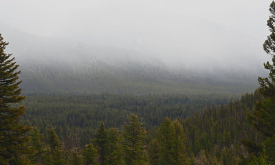 Low clouds over the forests