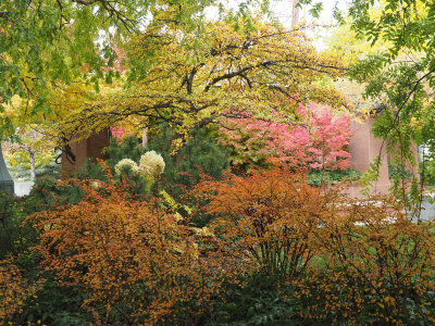 Fall colors at Temple Square