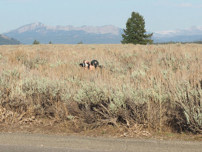Photographer in the grass