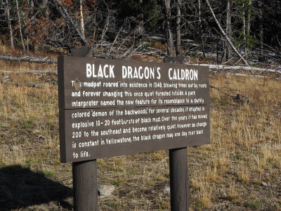 Black Dragon Caldron