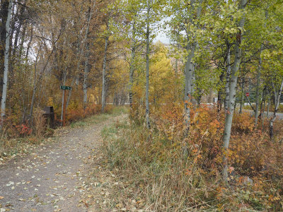 The Big Wood National Recreation Trail