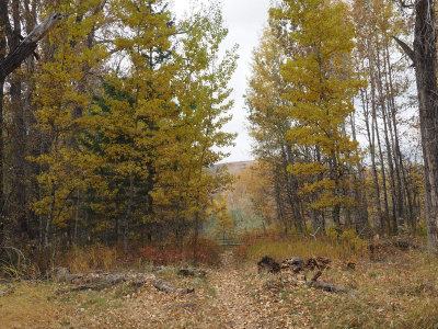The Big Wood National Recreation Trail