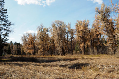 On the Willow Flats Trail