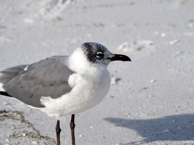 On the beach