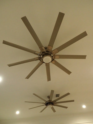 Fan with nine blades!