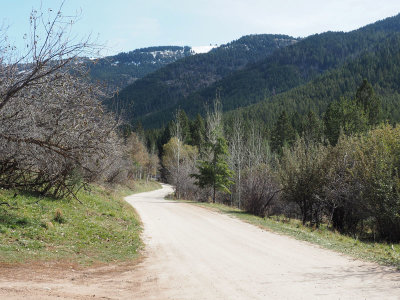 The road into Darby Canyon