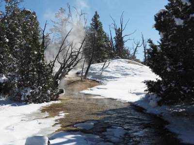 Steam and snow, Mammoth Terrace Drive