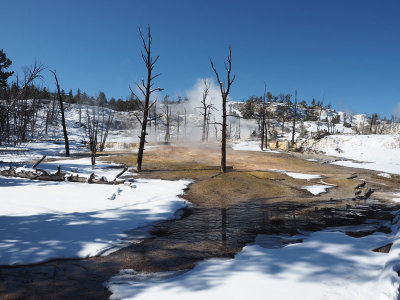 Steam and snow, Mammoth Terrace Drive