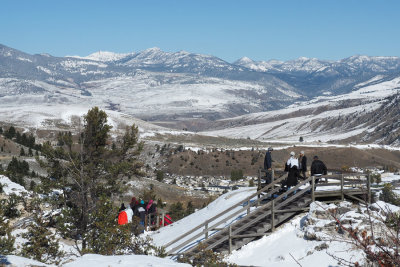 Viewpoint over Mammoth Hot Springs