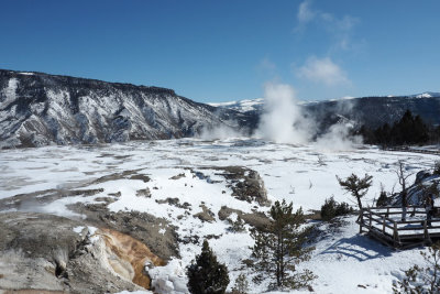 A basin of volcanic activity near Mammoth Hot Springs