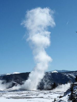 Steam rises over the geyser plane next to Mammoth Hot Spring