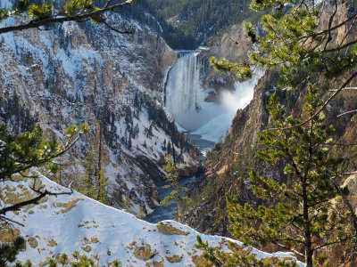 Visit to Yellowstone National Park - 3