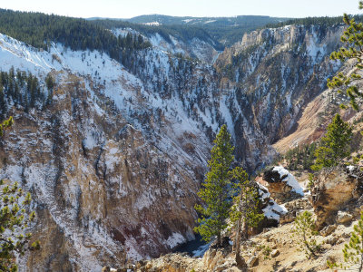 Grand Canyon of Yellowstone from the North Rim