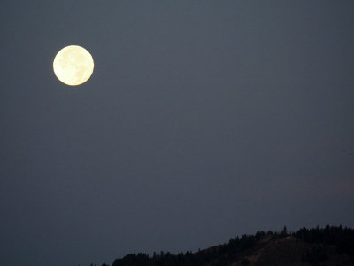 Moon setting just before sunrise