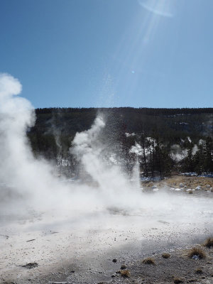 Vixen Geyser, Norris Geyser Basin