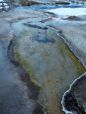 Bacterial stream, Black Sand Basin