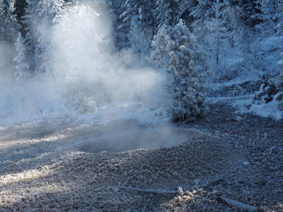 Steam rising from a fumarole at Artists Paintpots