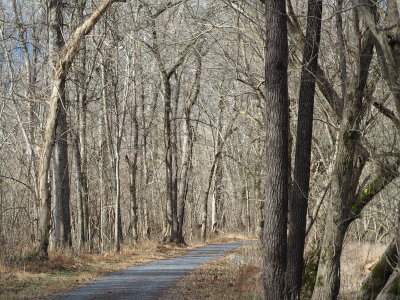 Near Edwards Ferry