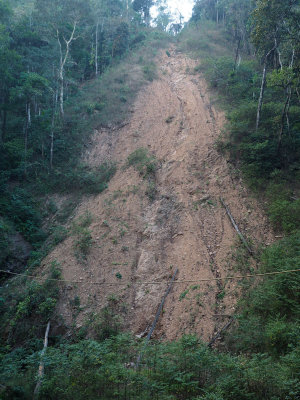Landslide next to Abbi Falls