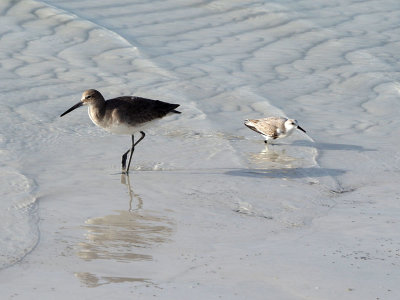 On the beach