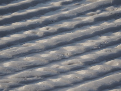 Pattern on the sand