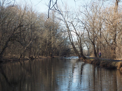 Along the canal