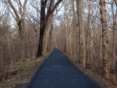 Newly paved trail