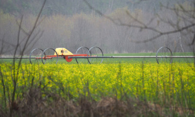 The farm on the other side of the woods