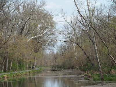View when leaving the trail for the parking lot at Dickerson