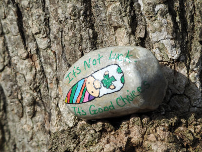 A rock placed on the side of a tree trunk