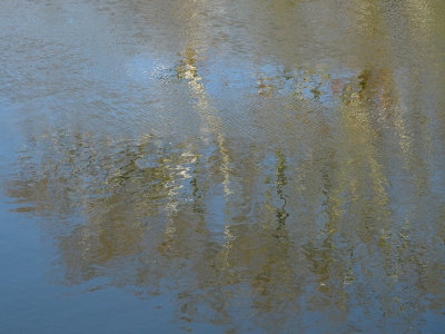 Reflections in the Monocacy river