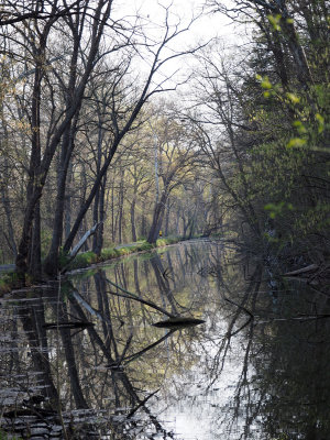 Over the canal in the morning