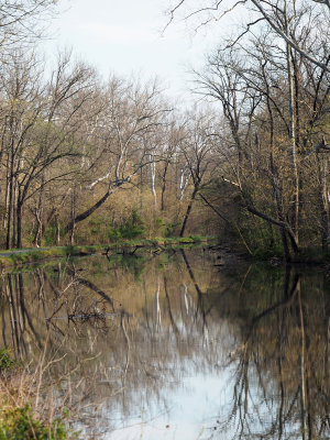 Reflections over the canal