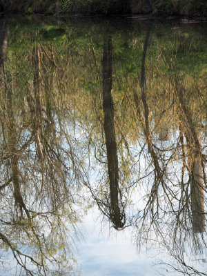 Reflection on the canal