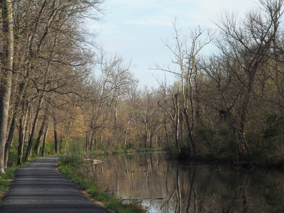 Morning light on the canal
