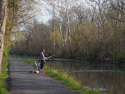Fishing early in the morning on the canal