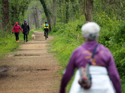 Colors on the trail