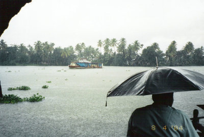 Backwaters lake in the rain