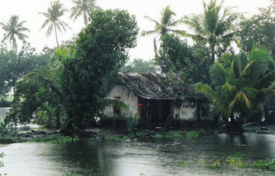 Home in the backwaters