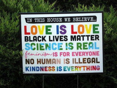 On our neighbor's lawn