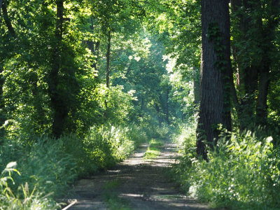 June 7th - On the trail from Sycamore Landing