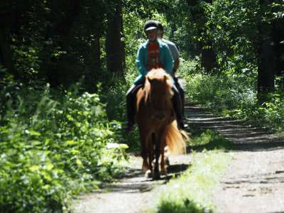 A rare sidght - people on horseback