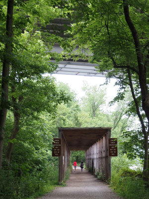 Protective cover over the trail