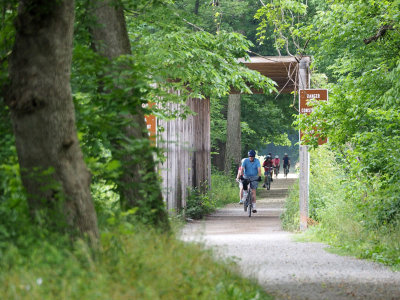Bikers on the trail