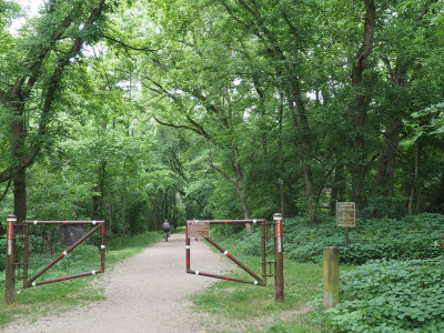 Beyond the watered Williamsport area of the trail